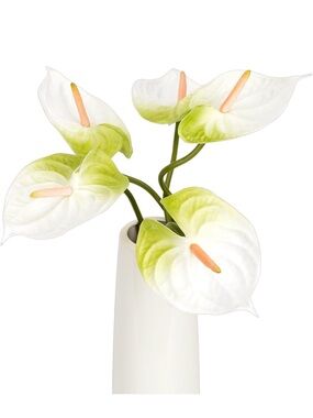 NIB Anthurium Faux Florals Real Touch 6 Pcs White,Centerpiece,Bouquet,Vase